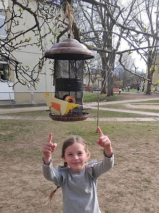 So manche Hennen suchen sich schon einen neuesZuha.jpg