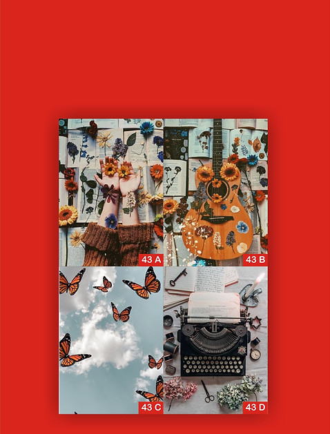 catalogo