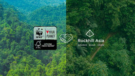Why WWF selected Rockhill Asia to support Vietnam’s FSC Chain of Custody for rubberwood