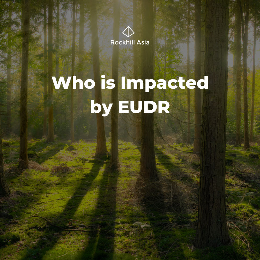 Who Is Impacted By The European Union Deforestation Regulation Eudr Who Is Impacted By The European Union Deforestation Regulation Eudr