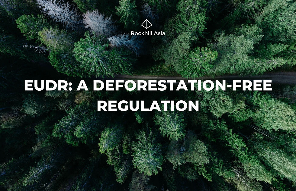 What is EUDR: A deforestation-free regulation