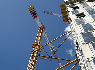 Crane Close Up