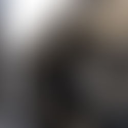 Stealth vs Reflective Van Window Covers: Which One’s Right for Your Van?