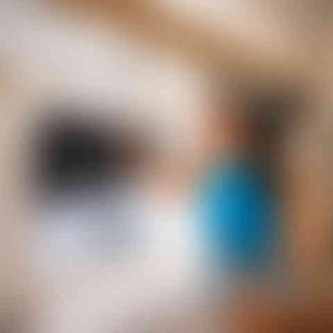 Woman adjusting window shade in van