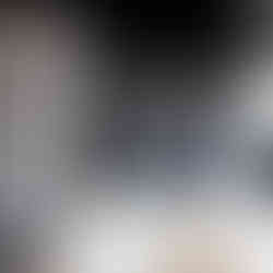 Van interior with window coverings and countertop