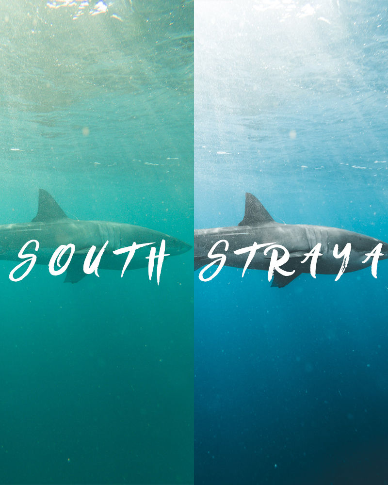 Thumbnail: GOPRO BANGER COLLECTION