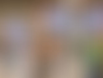 Navigating the Grocery Store: Why Shopping with Kids is Like Taking Them to an Amusement Park for Their Brain