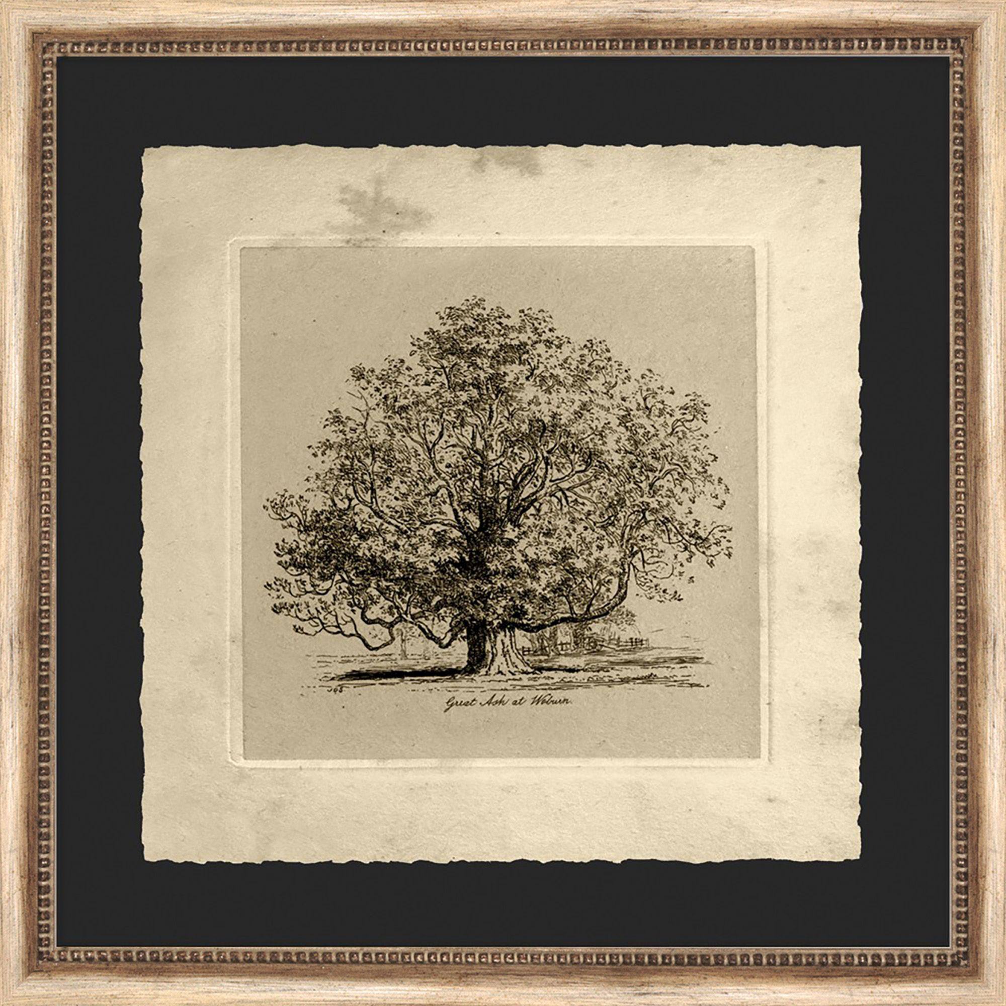 Great Ash Mated Ink Production