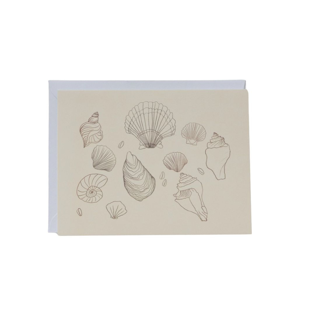 Shell Sketch Greeting Card