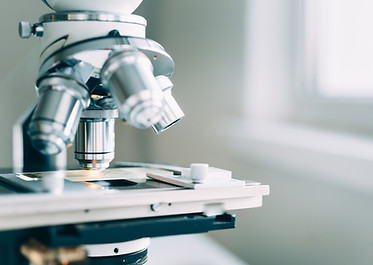 Microscope