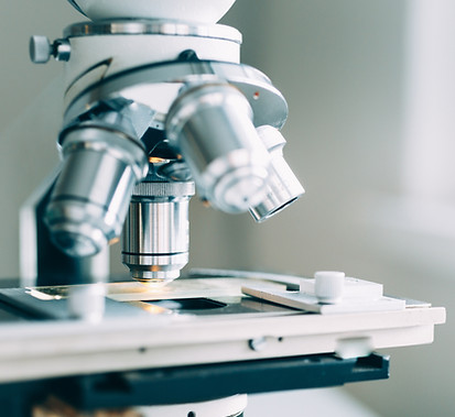 Microscope