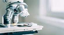 Microscope