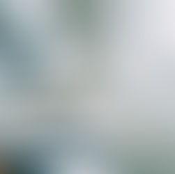 Práctica Célula vexetal (Citoloxía)