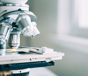 Microscope