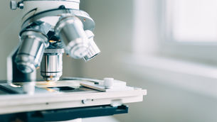 Tenure No Longer Protects Creationist Professors