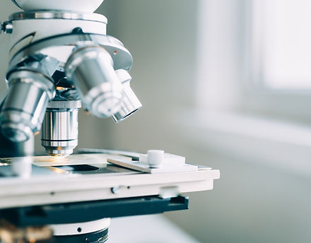 Microscope
