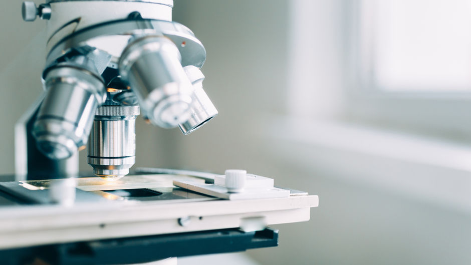 Exames na dermatologia veterinária