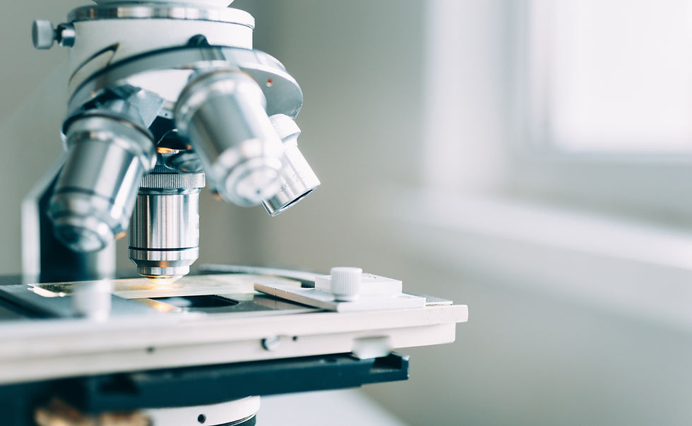 Microscope