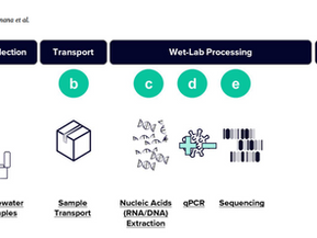 Early detection of SARS-CoV-2 variants using genomic surveillance: insights from aircraft wastewater and nasal swabs at Kigali International Airport, Rwanda