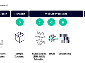 Early detection of SARS-CoV-2 variants using genomic surveillance: insights from aircraft wastewater and nasal swabs at Kigali International Airport, Rwanda