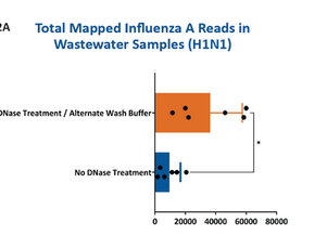 A Sample-to-Results Workflow for Influenza A Sequencing from Wastewater