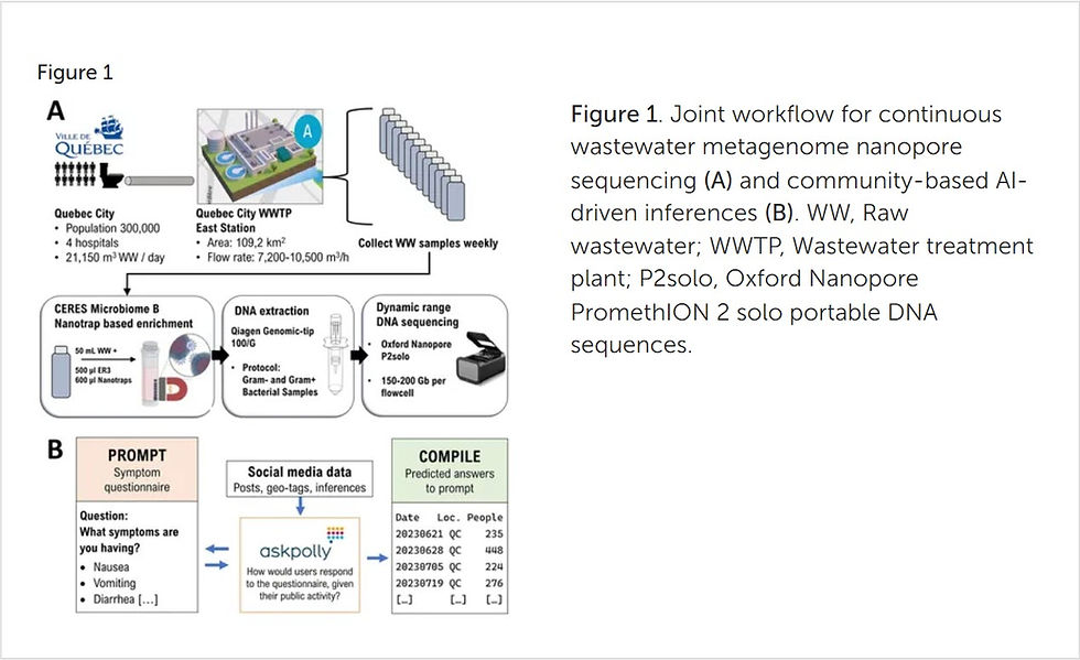Leveraging artificial intelligence community analytics and nanopore metagenomic surveillance to monitor early enteropathogen outbreaks - workflow