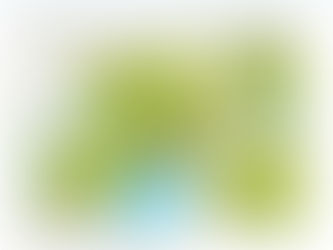 Wastewater-based Surveillance as a Proactive Public Health Tool: Insights from SARS-CoV-2 Monitoring in Kampala, Uganda (2023–2024)