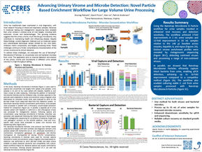 Advancing Urinary Virome and Microbe Detection: Novel Particle Based Enrichment Workflow for Large Volume Urine Processing