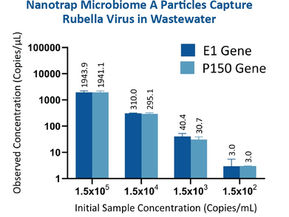 Nanotrap Microbiome A Particles Capture Rubella Virus in Wastewater