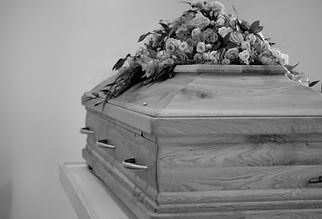 pexels-mario-wallner-107470762-12403305-scaled.jpg