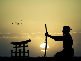 The Principles of Karate #12