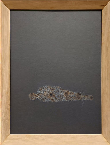 Screenshot 2022-11-29 at 23.46.25.jpg