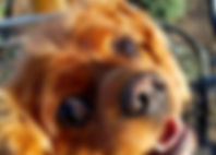 unnamed (4)_edited.jpg