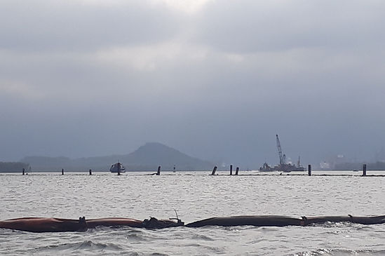 20180703_111050.jpg