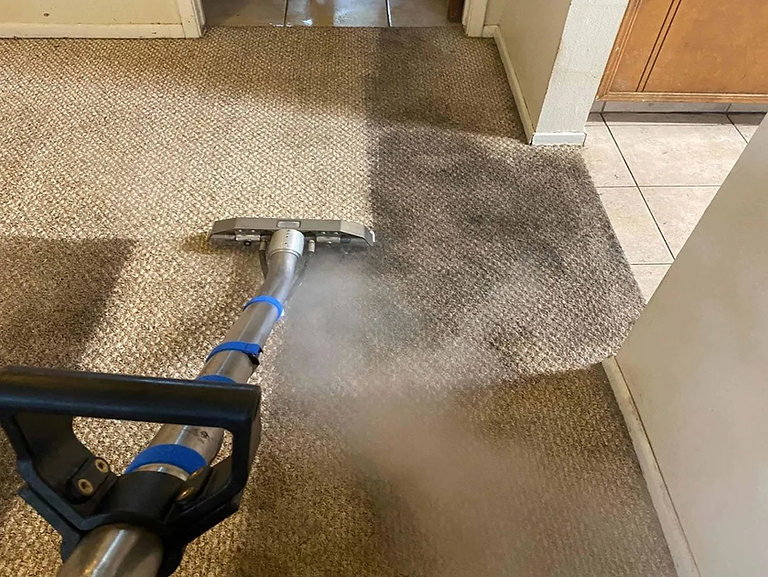 Rapid Restoration Carpet Cleaning