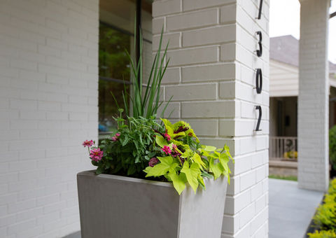 7302 Centenary-7458 copy.jpg