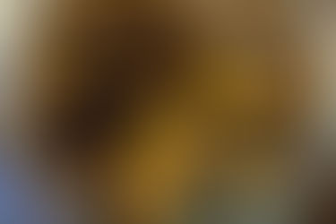 3 Ayurvedic Tips for Staying Happy & Healthy Through Winter