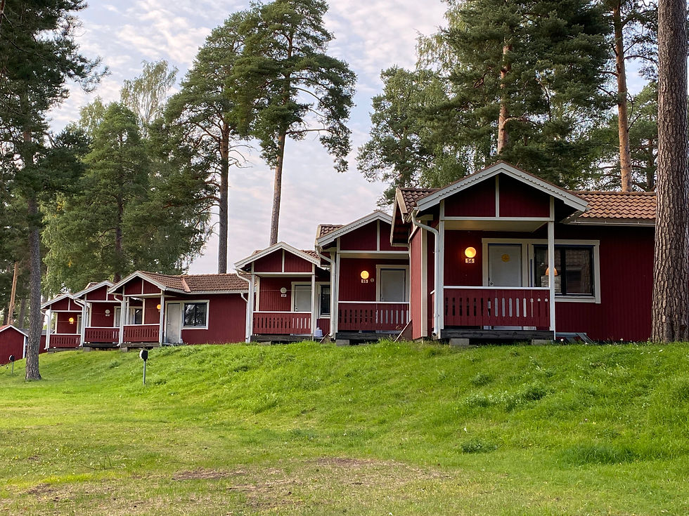 Red cabins with lit porches on a grassy hill among tall pines under a cloudy sky, numbered 54-56.