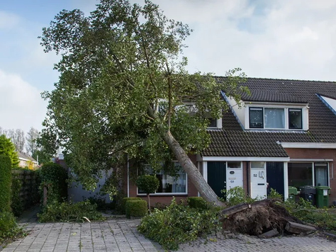Top 5 Tips for Storm Damage Restoration