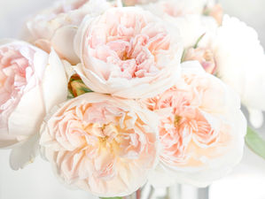 Bloom Where You're Planted: The Power Of Positivity In Business