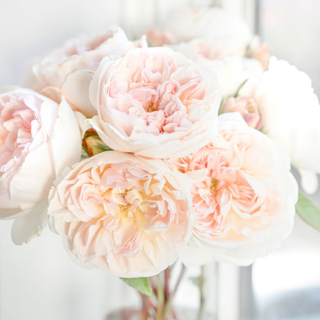 Bloom Where You're Planted: The Power Of Positivity In Business