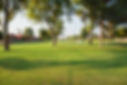 IMG_7402.jpeg
