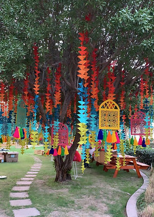 south asian outdoor wedding decor