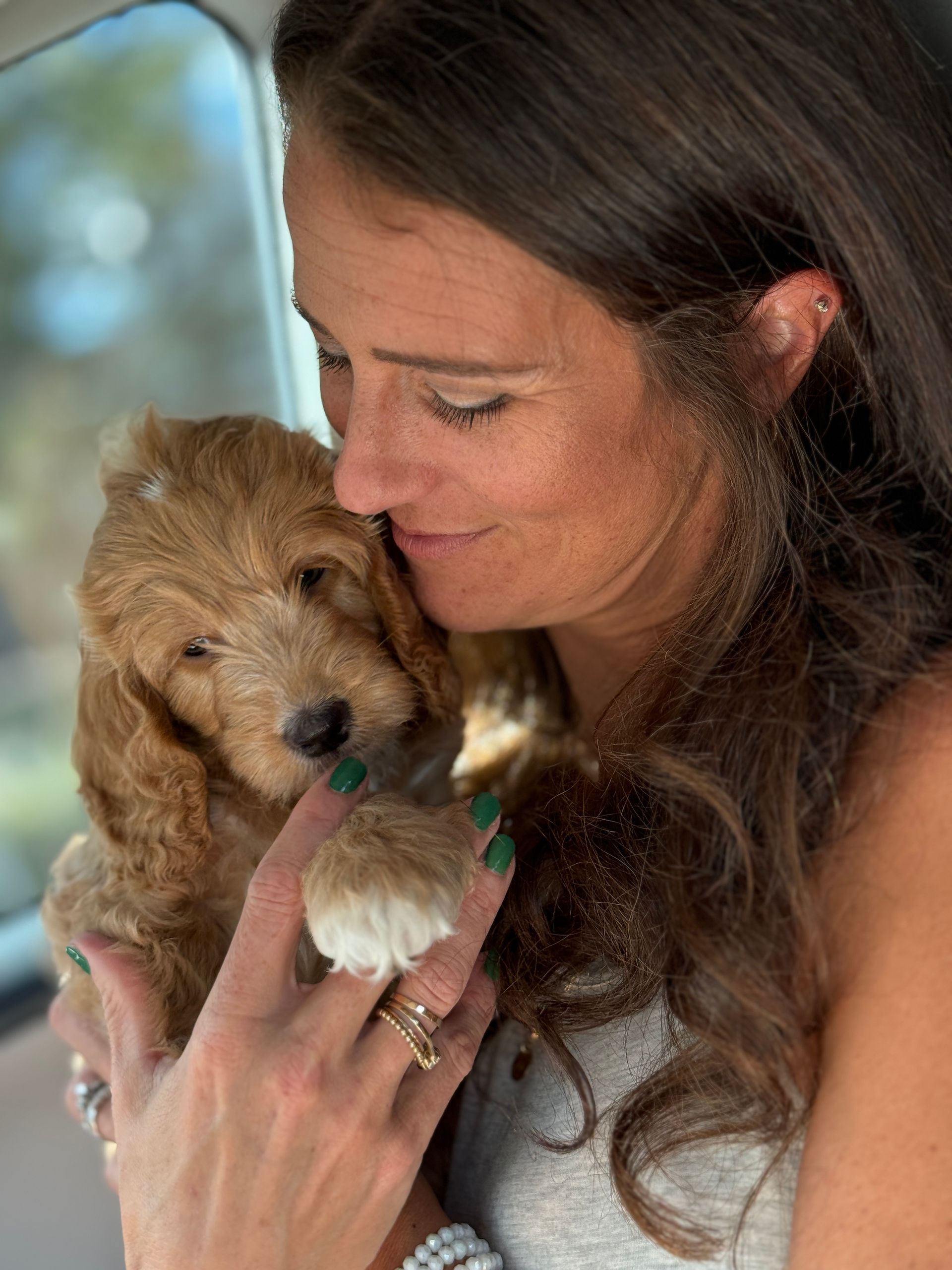 adorable newborn goldendoodle puppy