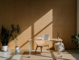 Sunlit minimalist office with a wooden desk, laptop, and chair. Green plants in white pots on a light brown rug create a calm ambiance.