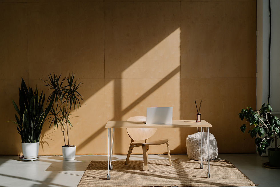 Sunlit minimalist office with a wooden desk, laptop, and chair. Green plants in white pots on a light brown rug create a calm ambiance.