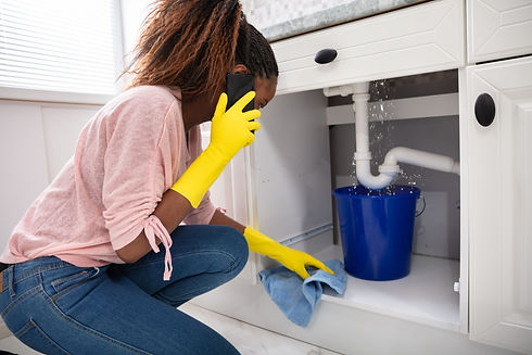 Fairfax plumber in Annandale