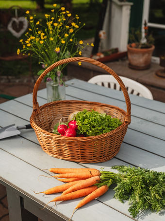 fresh carrots and lettuce in wicker basket on patio table