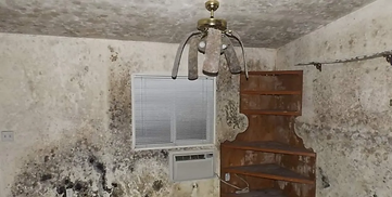 Mold Removal Dallas Fort Worth