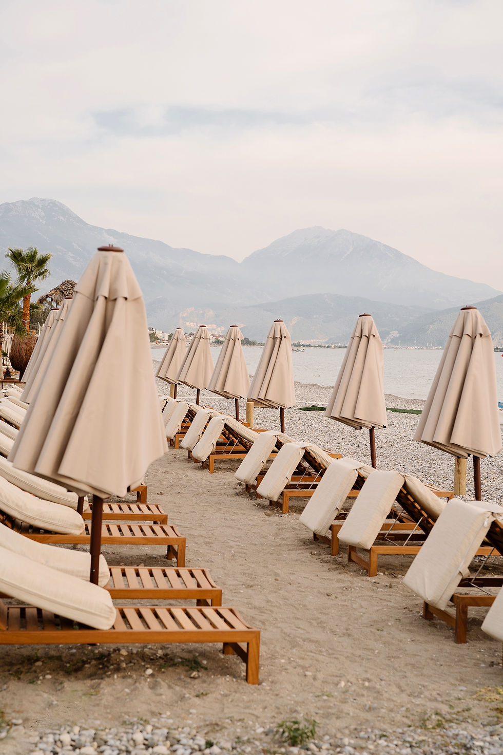 beach chairs 